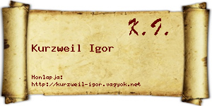 Kurzweil Igor névjegykártya